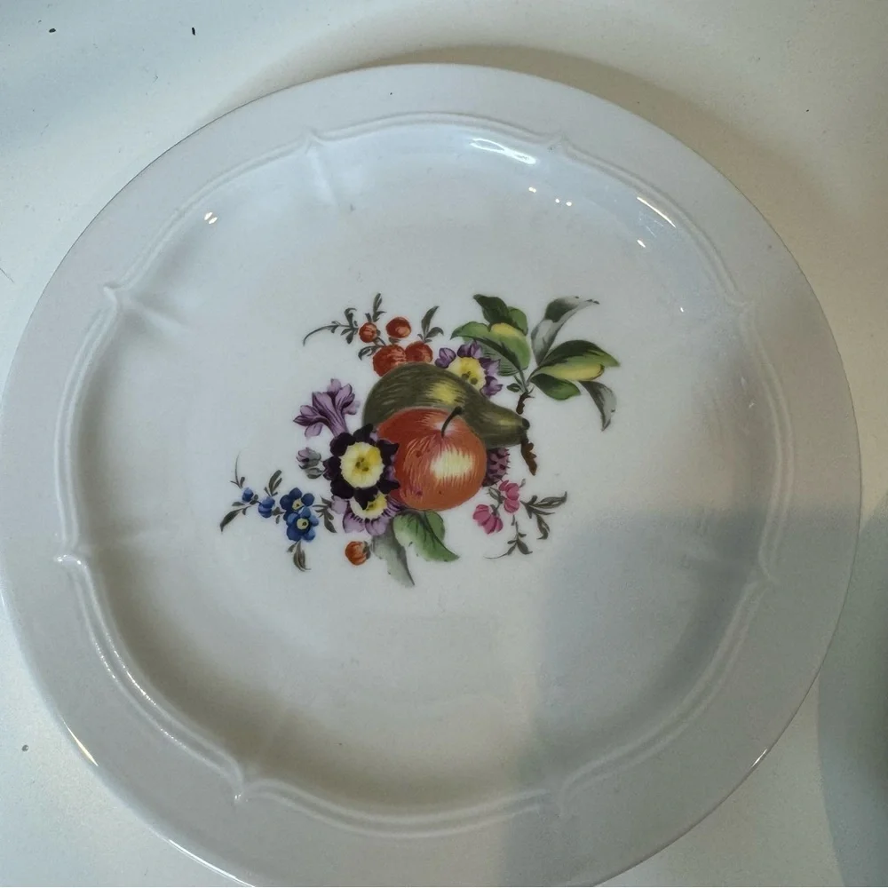 VOHENSTRAUSS-Johann Seltmann-Bavarian Germany Botanical Fruit salad plates